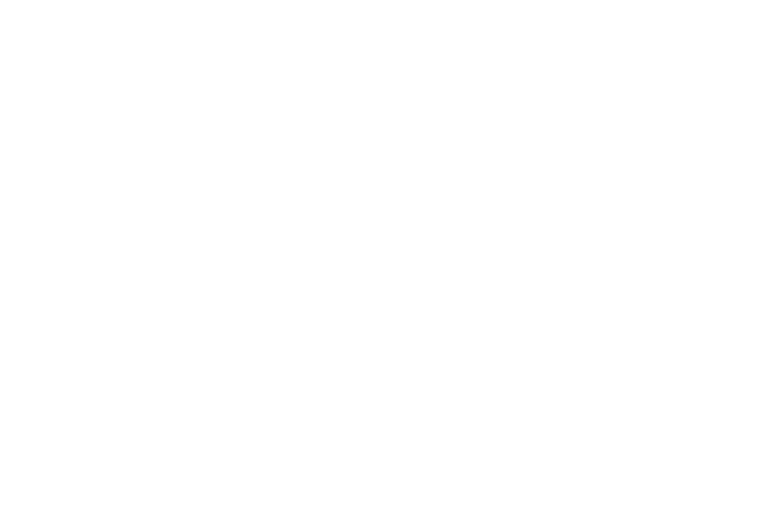 Mining & Quarry Screens Mesh_Self-cleaning Screens_Polyurethane Screens_Woven Wire Screens-RedStar