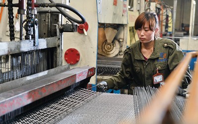 Taller de Fabricación de Malla de Alambre Tejido