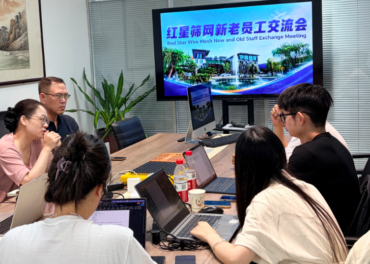 Empowering Through Knowledge Transfer and Continuous Improvement: Redsarscreen Hosts Successful Exchange Meeting for New and Experienced Staff
