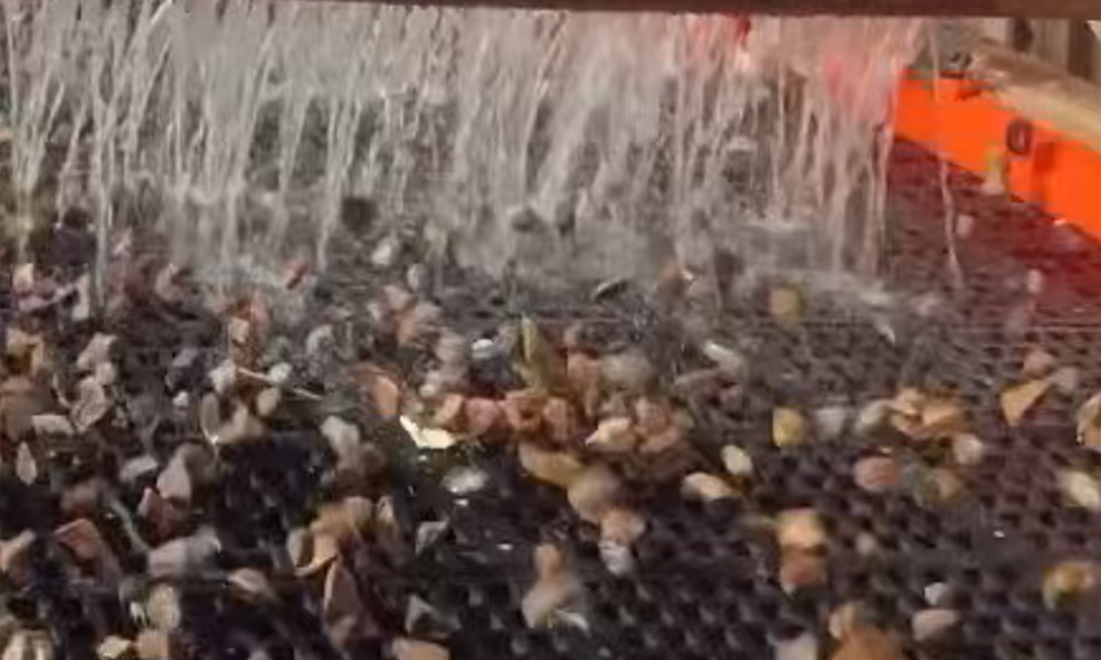 Rubber Screen Dry Screening
